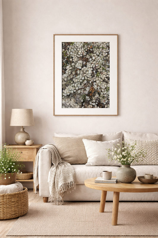 Print 50 x 70 "Spring"